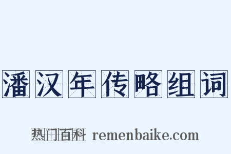 潘汉年传略组词是什么意思的图片